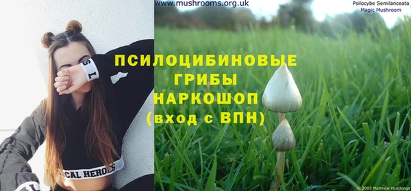 ГАЛЛЮЦИНОГЕННЫЕ ГРИБЫ Армянск