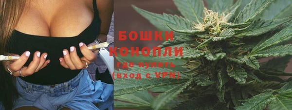 ГАЛЛЮЦИНОГЕННЫЕ ГРИБЫ Армянск